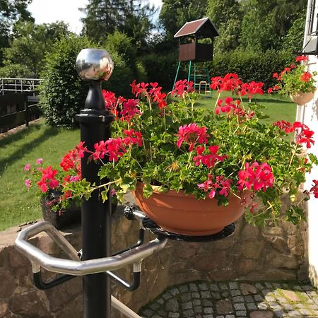 Ferienwohnung Grieser Geising Bagian luar foto